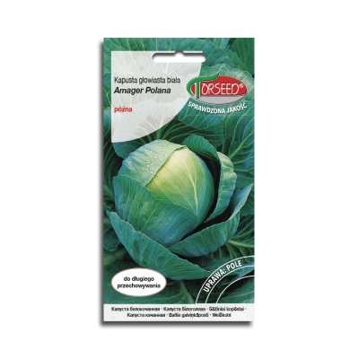 Kapusta Głowiasta Amager Późna nasiona